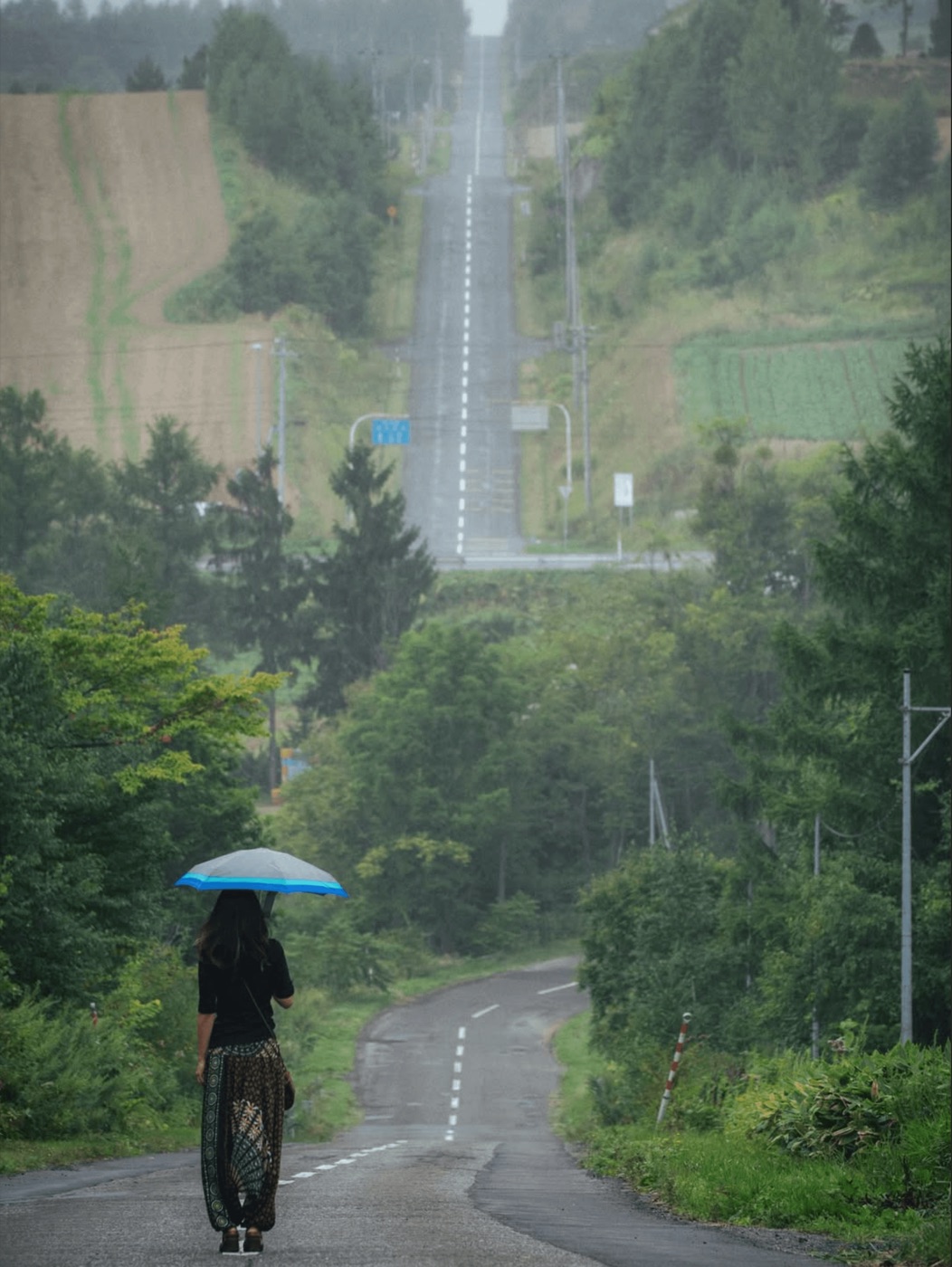 雨に煙る一直線の坂道を、傘をさして歩く人物
