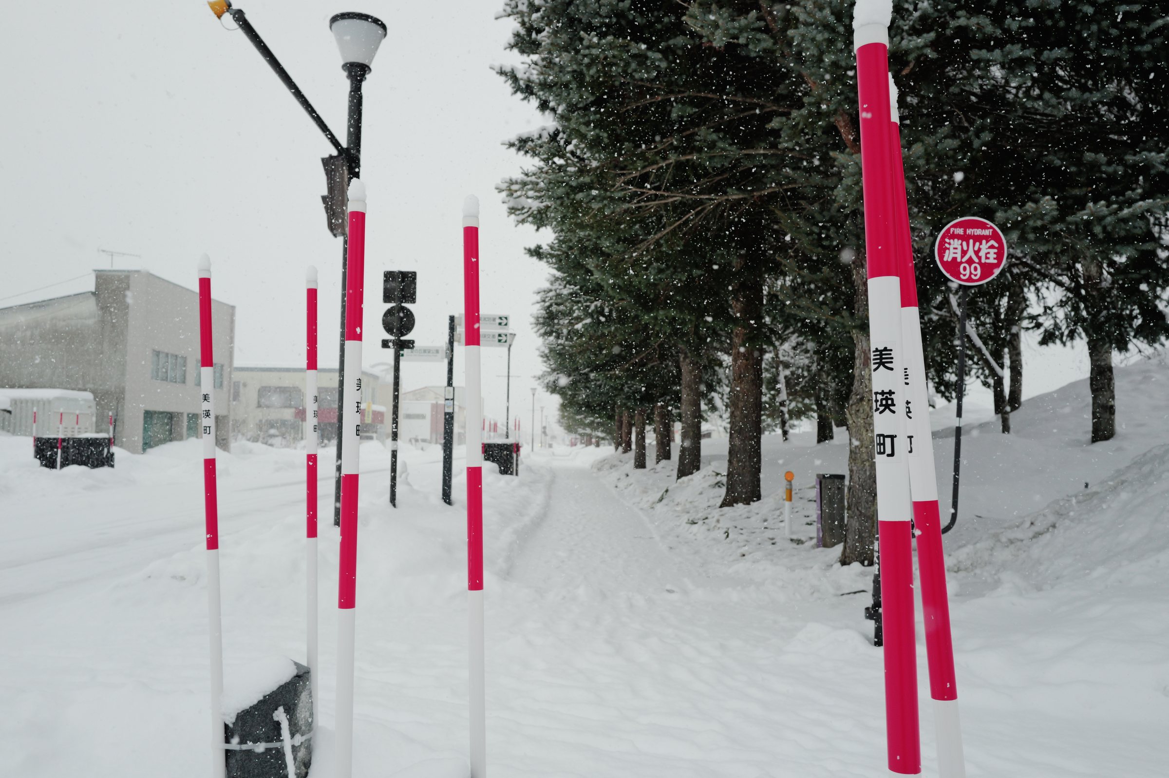 雪の歩道の脇に立つ紅白のポールと、並木