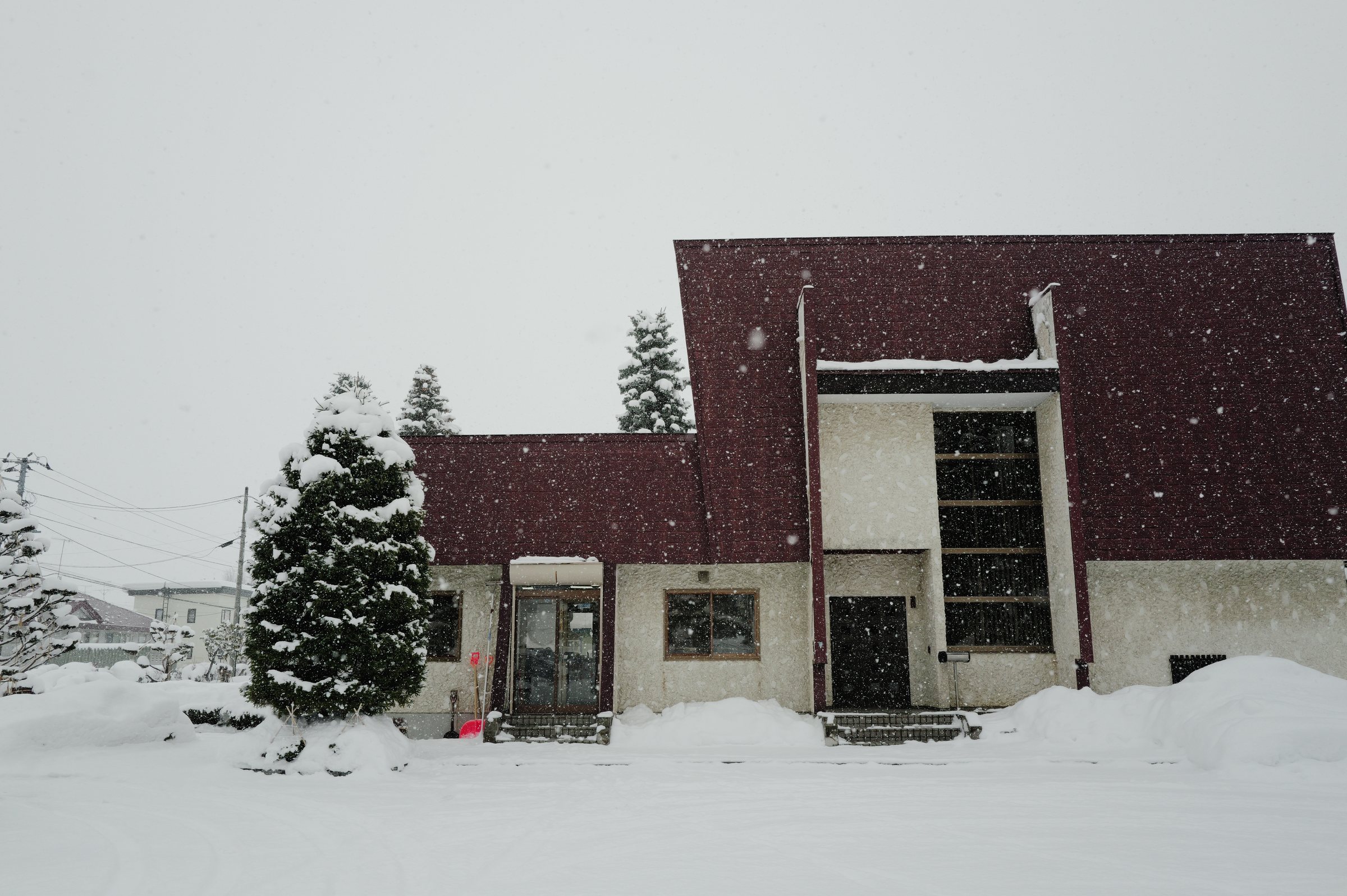 雪に埋もれた赤い屋根の家と、雪をかぶったトウヒ