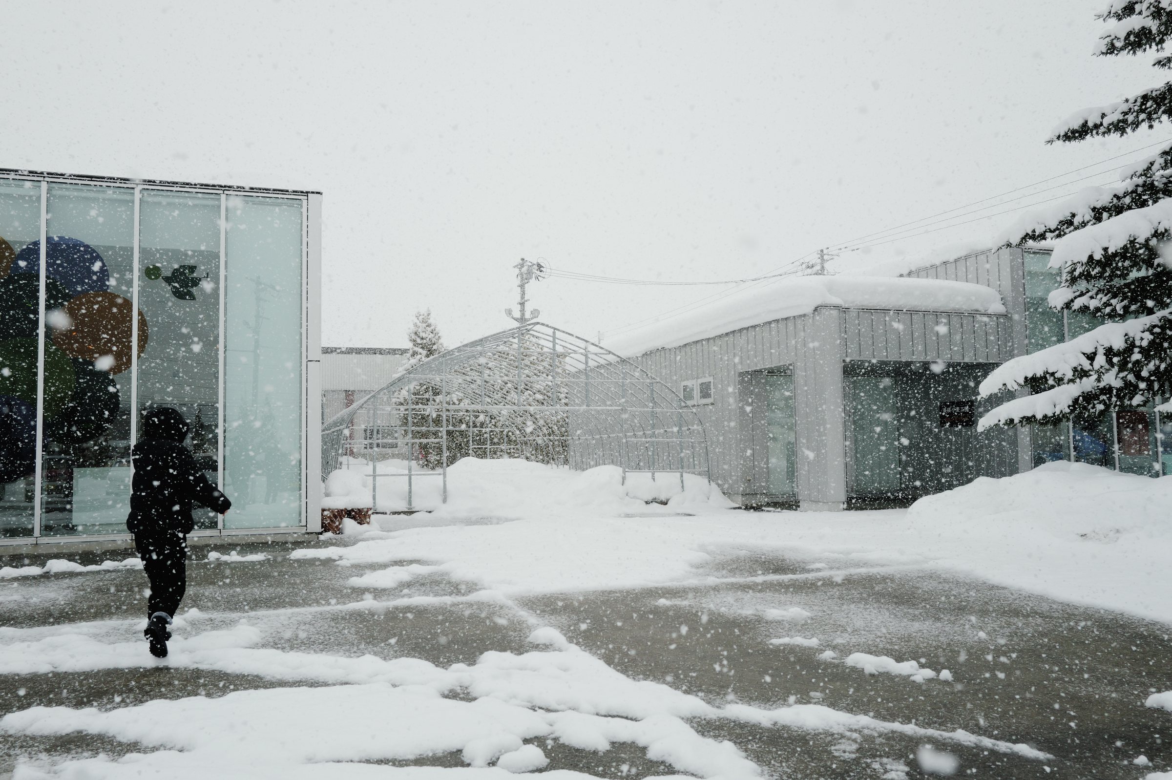 吹雪の中、ガラスの建物の脇を歩く人