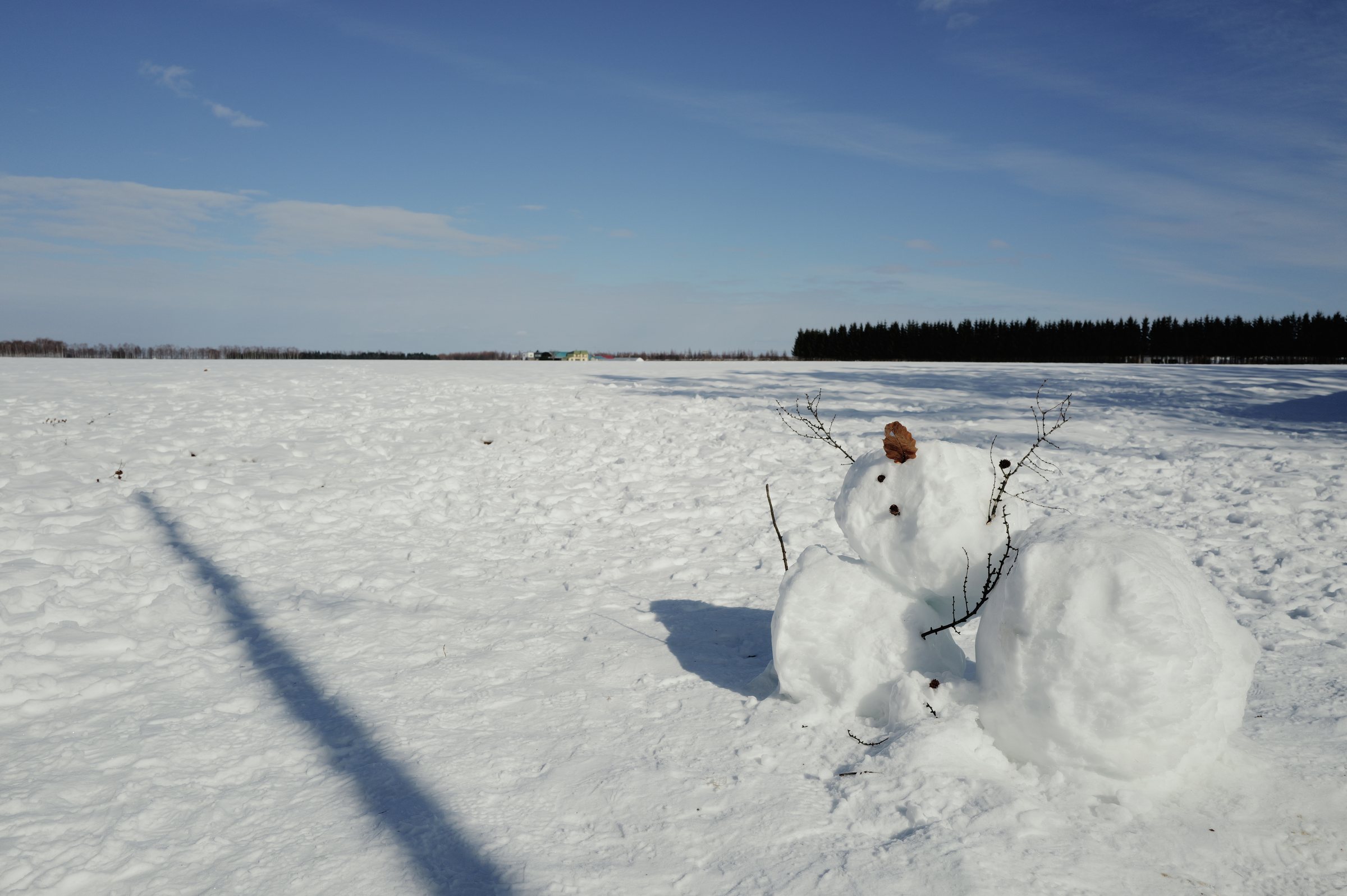 雪の上の小さな雪だるまと、横に伸びる長い影