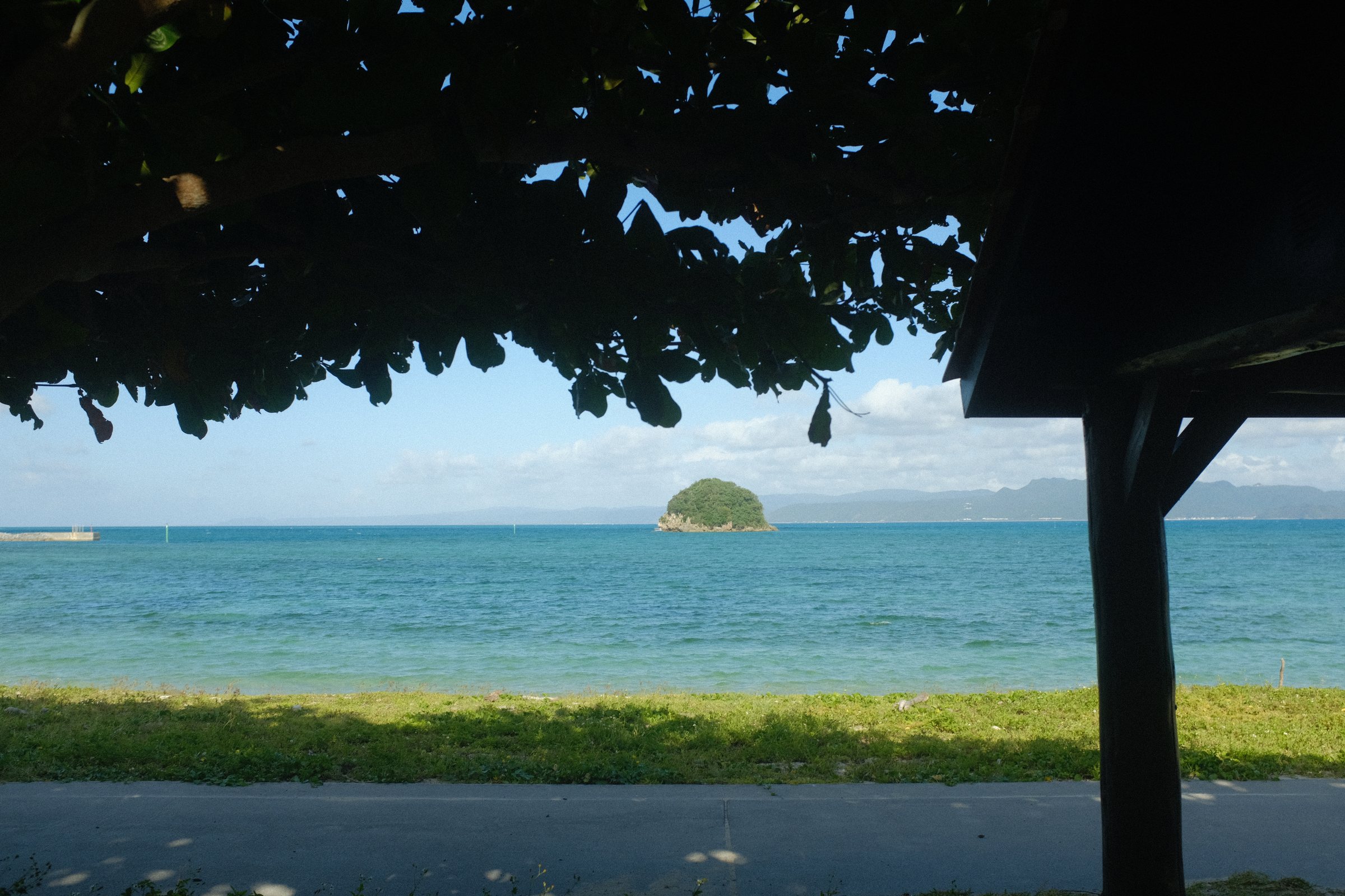 木陰の向こうに広がる青い海と、沖に浮かぶ小さな島