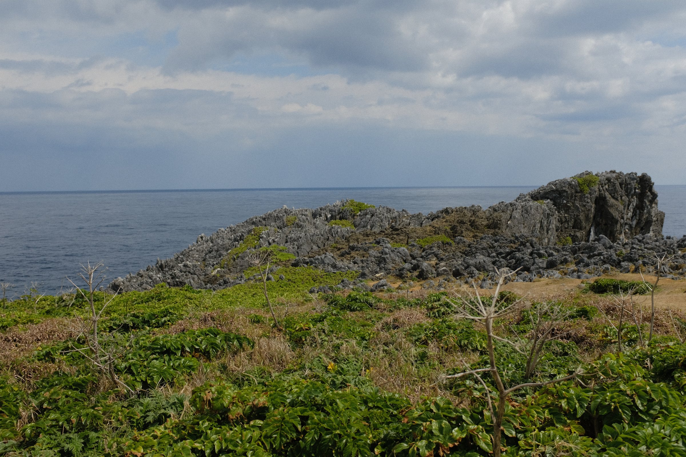 緑の草に覆われた岬の先と、ごつごつした岩