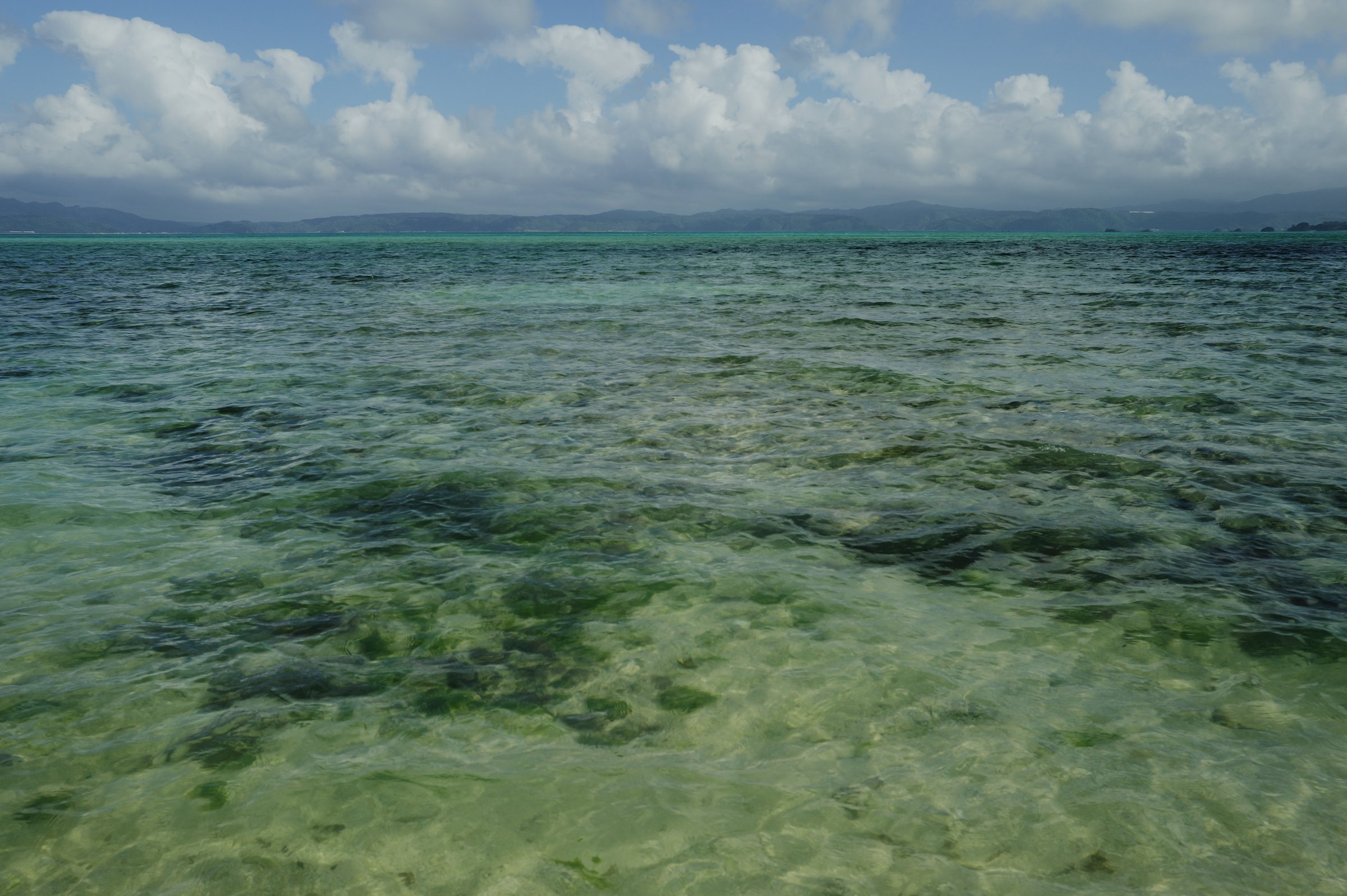 底の石まで透けて見える、浅く緑色の海