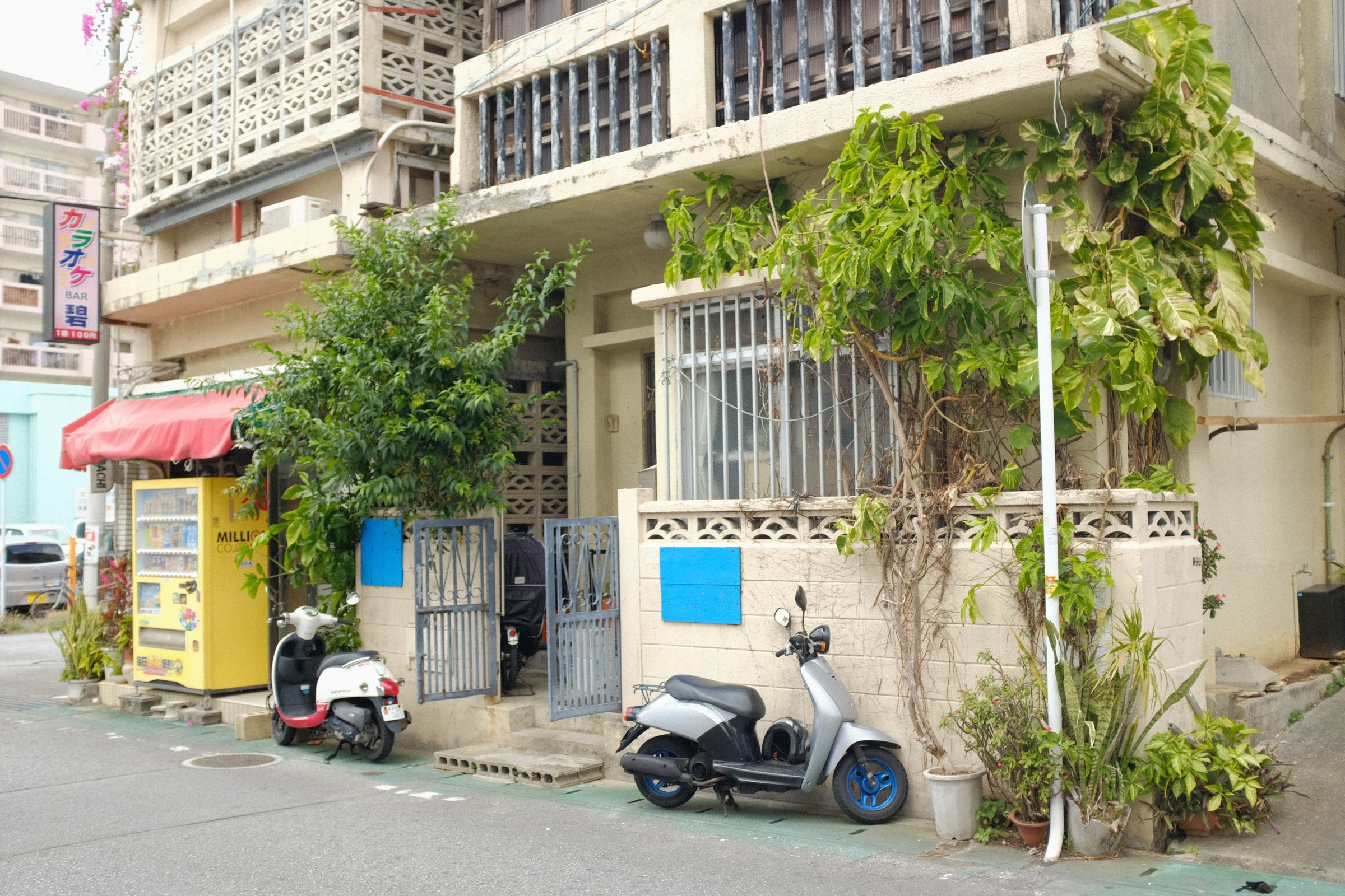 植木の茂る古い建物の前に並ぶスクーター