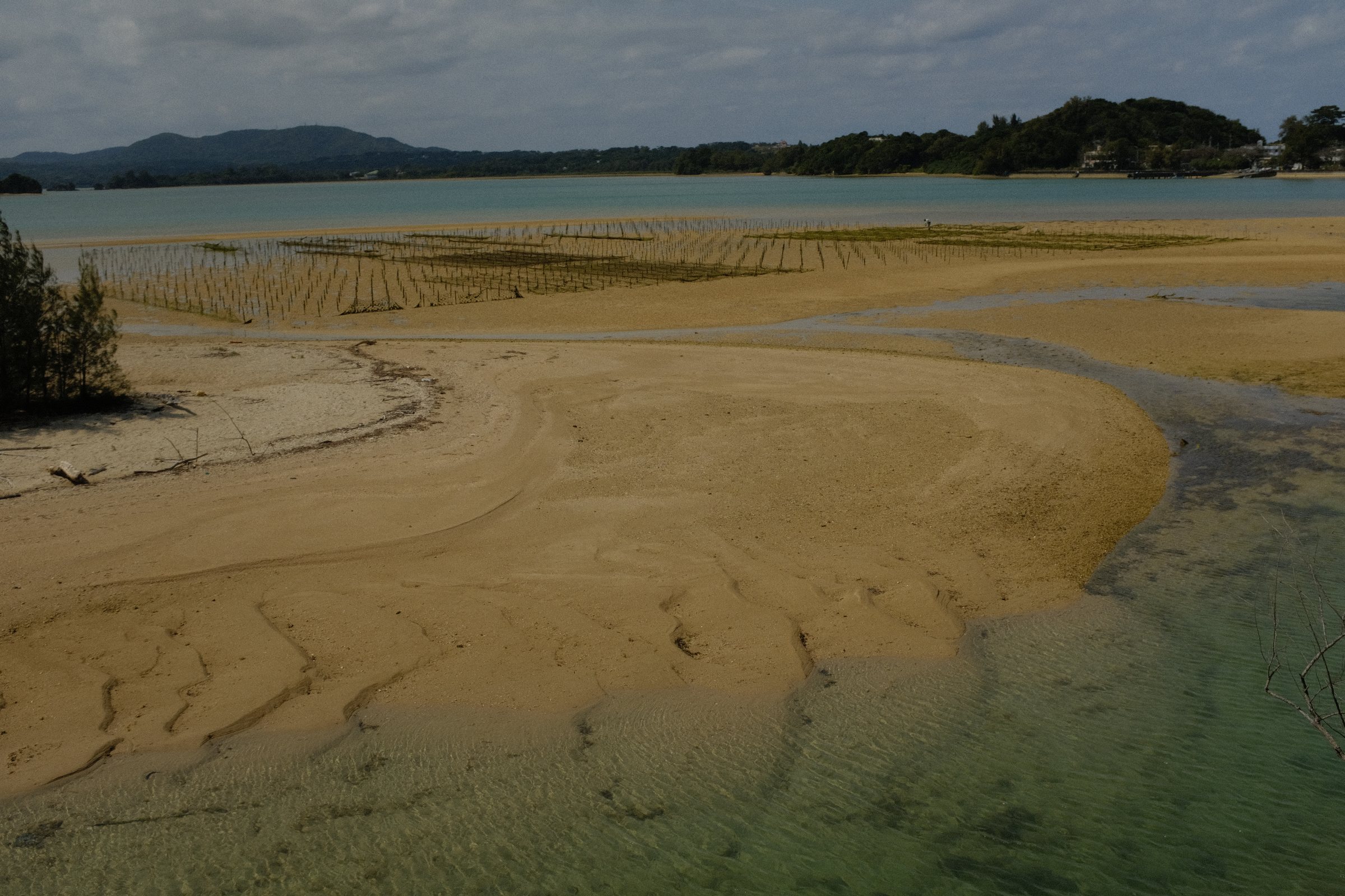 潮の引いた浜に、水の流れが描いた砂の筋
