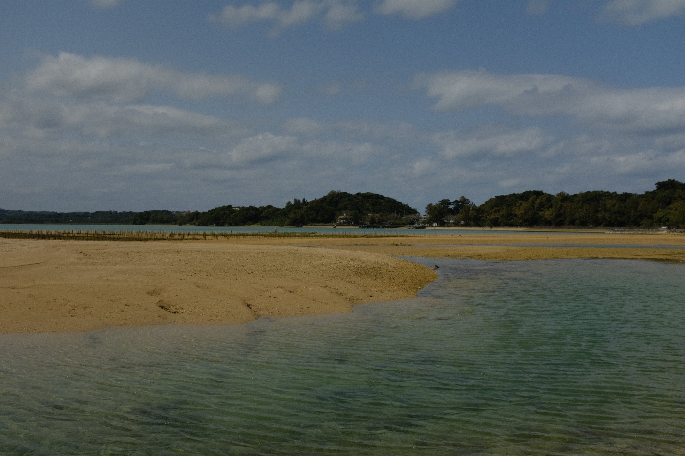 浅い水たまりの向こうに続く、潮の引いた浜
