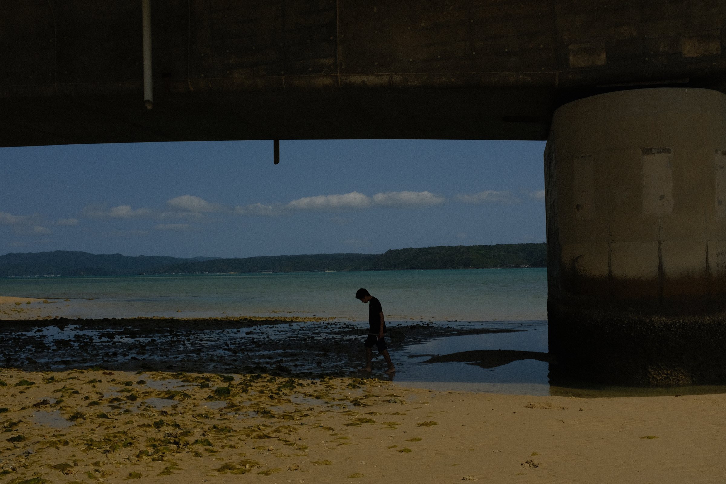 橋の下の浅瀬を歩く人と、橋脚の影
