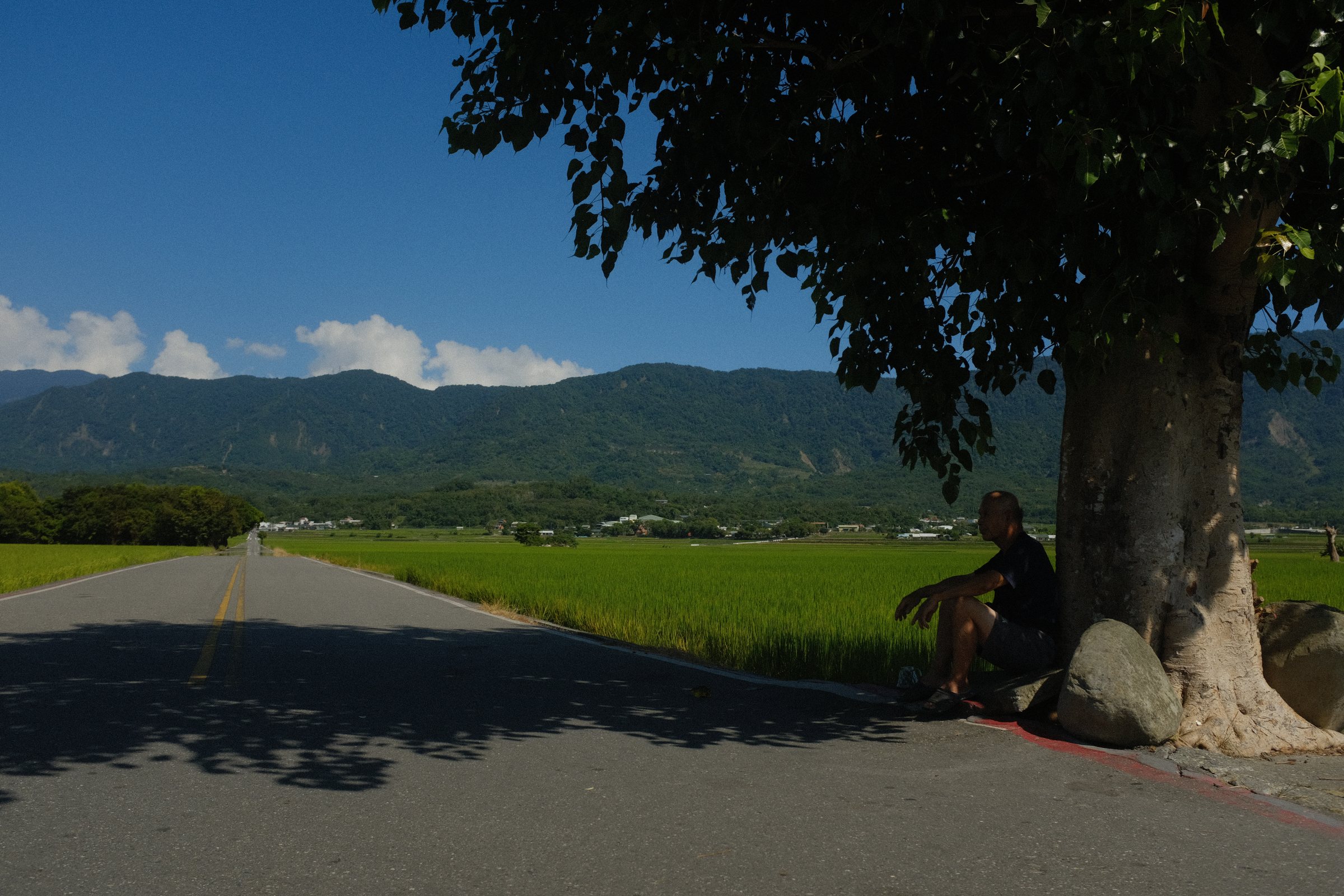 大きな木の根元に座って休む人と、田んぼのあいだを伸びる道、遠くの山並み
