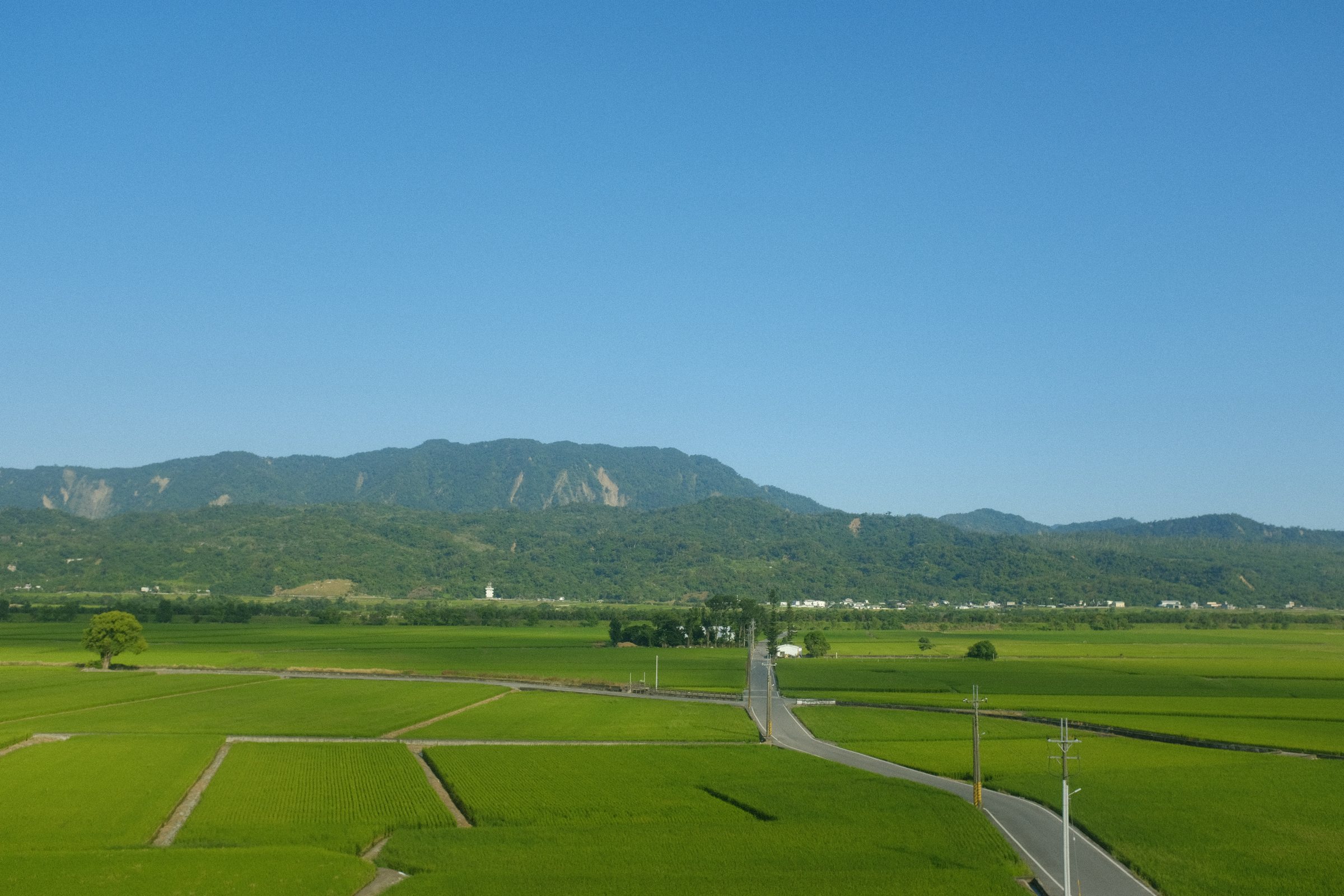 列車の窓から見る、山すそまで続く緑の田んぼ