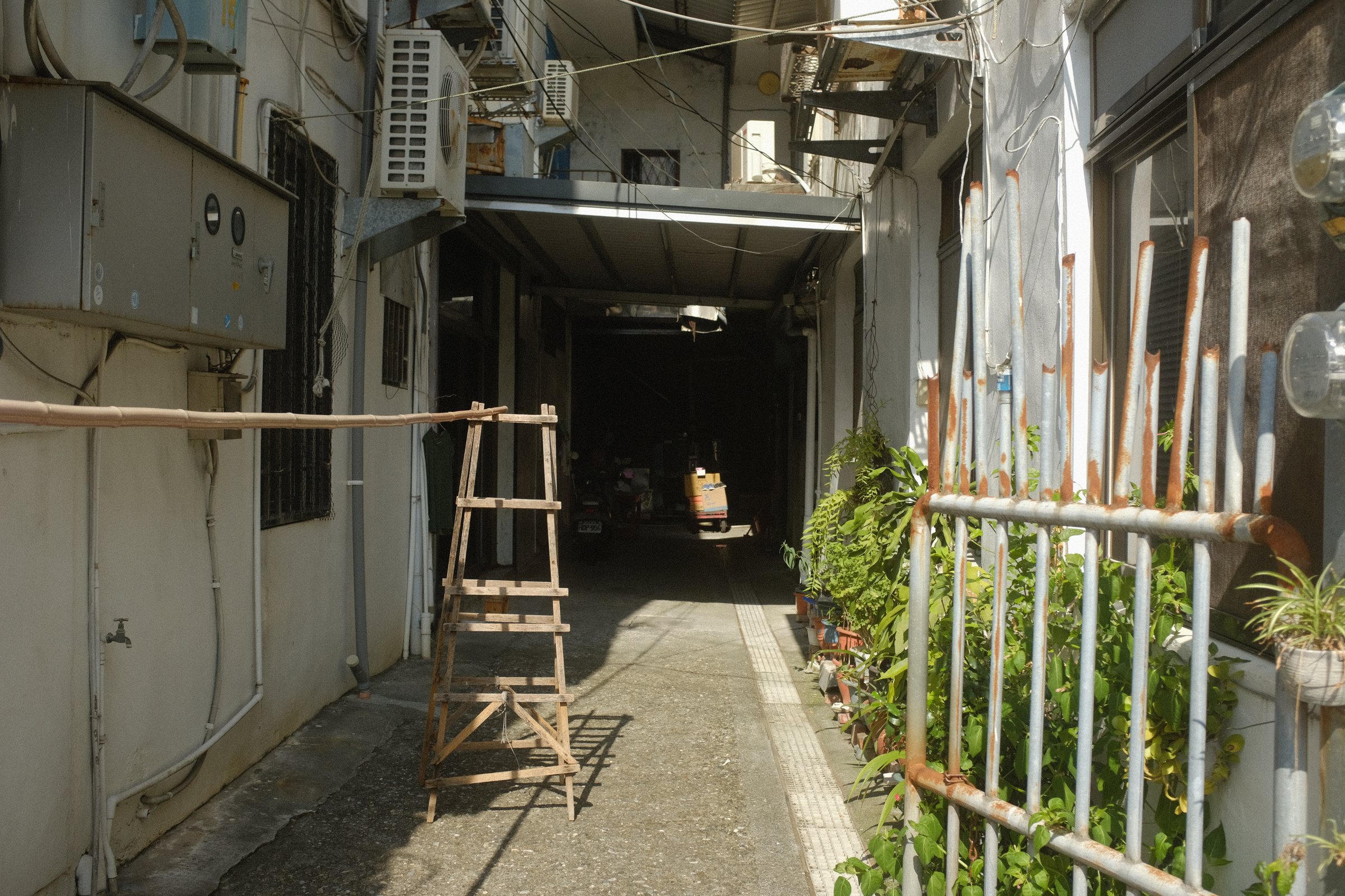 光の入る細い路地に、はしごが立てかけてある