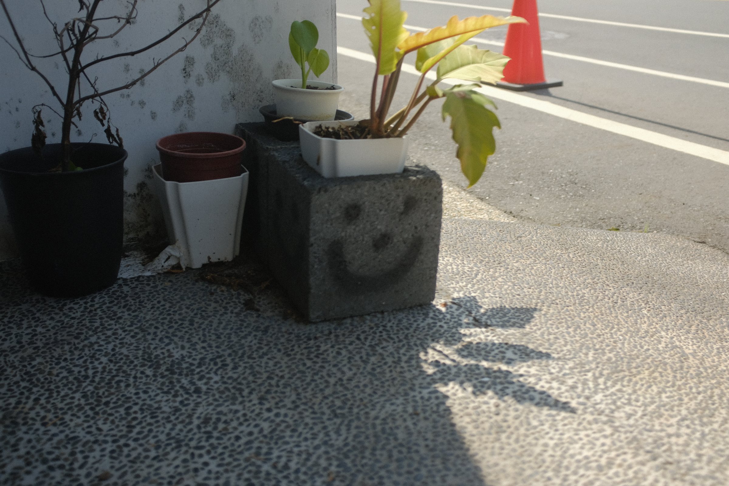 笑った顔が描かれたコンクリートの植木鉢と、植木の影