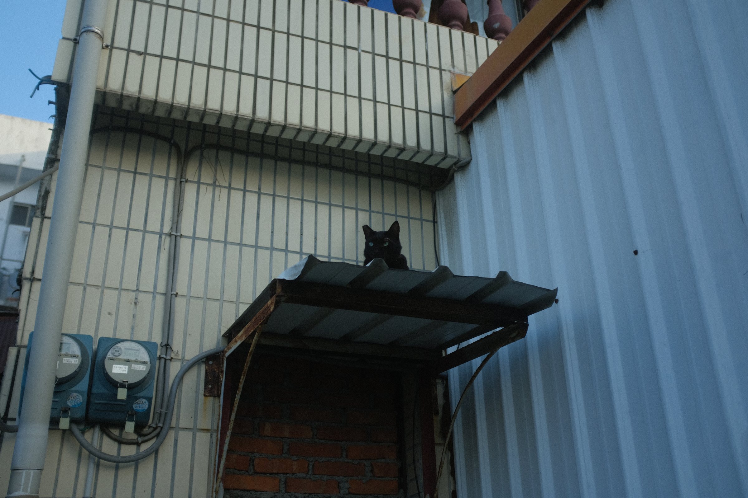 トタン屋根のひさしの上に座る黒い猫